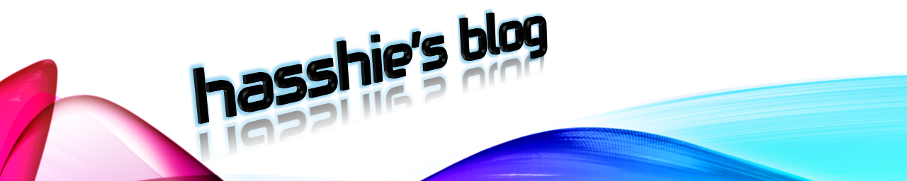 はっシーのブログ